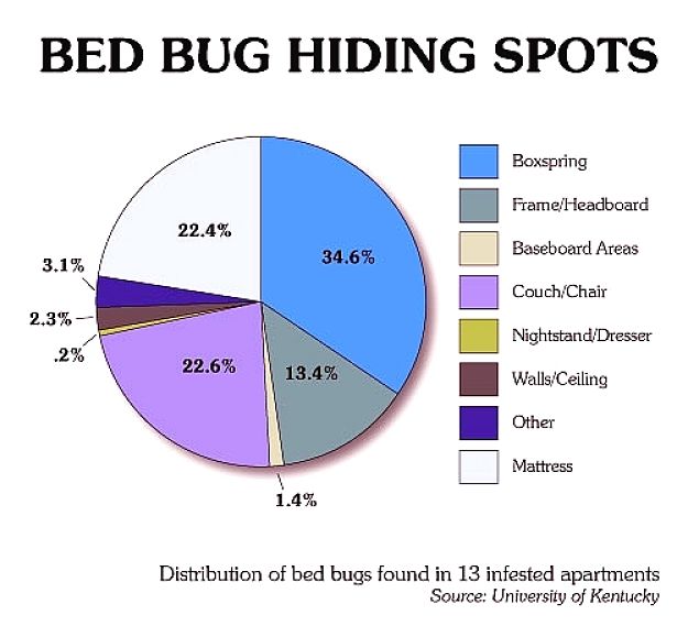 Bed bug hiding spots