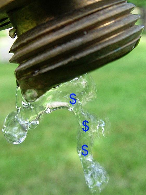 Positive Cash Flow Starts with a Drip and Ends with a Torrent of Dollars - It Makes Cents!