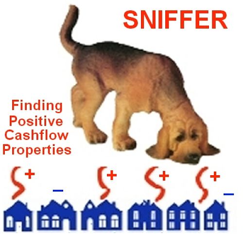 Sniffer the Online Positive Cash Flow Detector