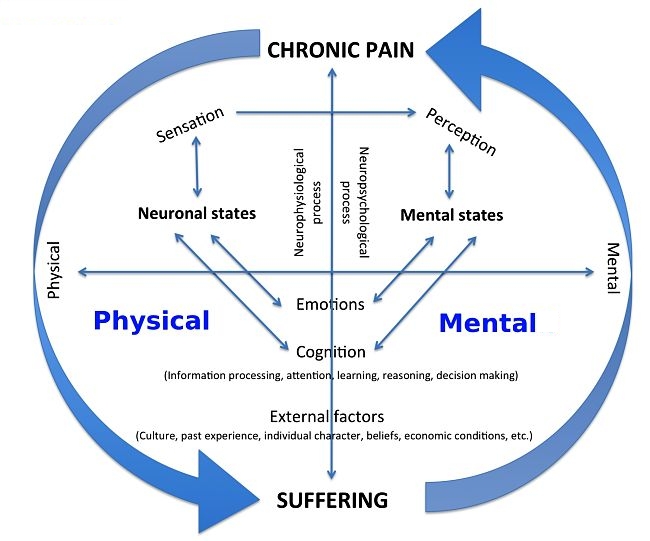 The perception of pain is mental not purely physical - this mean you can control or even eliminate pain mentally. Learn how here