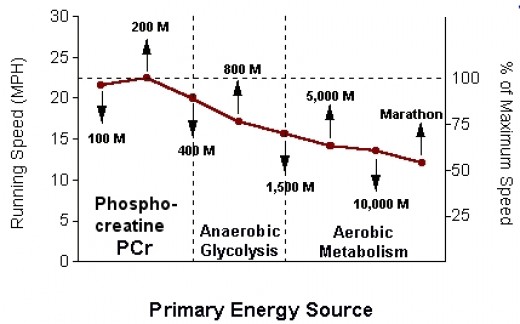 Variations in Primary Energy Source at Different Running Distances