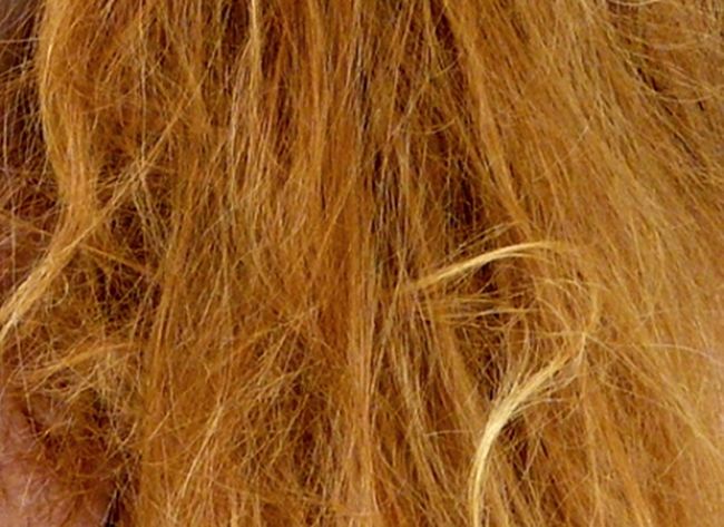 Tangled hair is very hard to manage. Discover a wonderful array of detangling recipes uisng natural ingredients in this article to keep your hair soft, shiny and easy to manage