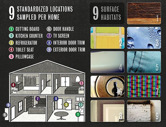 Most contaminated surfaces in the home where hands can become contaminated