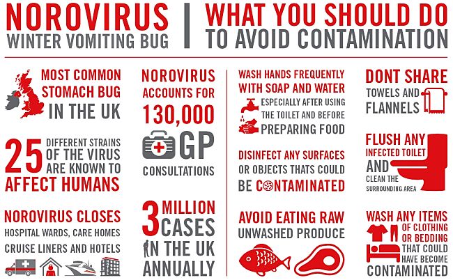 The importance of hand washing and avoidance of contaminated surfaces to prevent picking up Norovirus infections