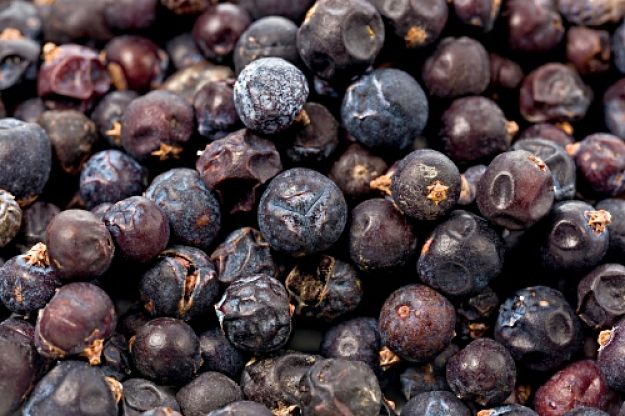 Dried Juniper Berries ready to be used