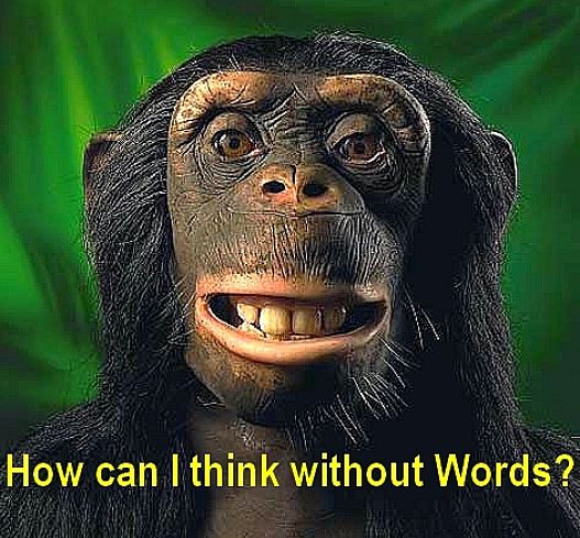 How can apes think if they don't have a language?