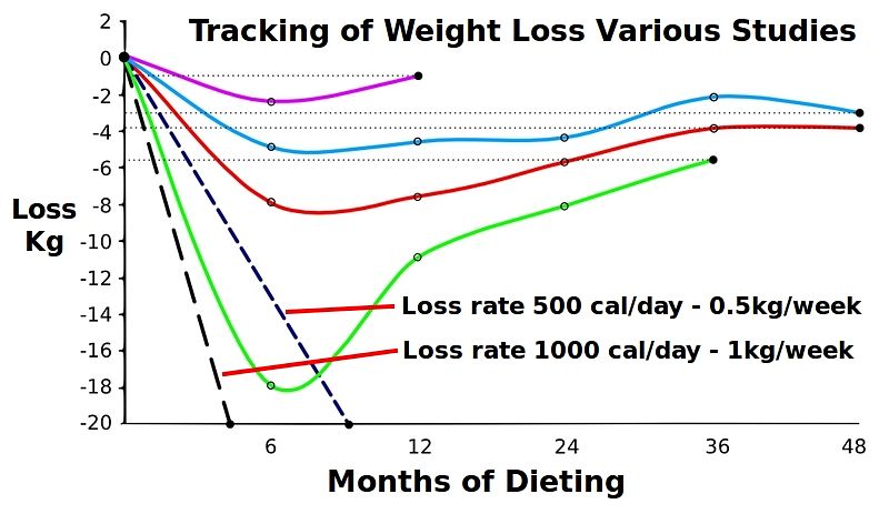 Typical pattern of weight loss experience by most dieters over several years
