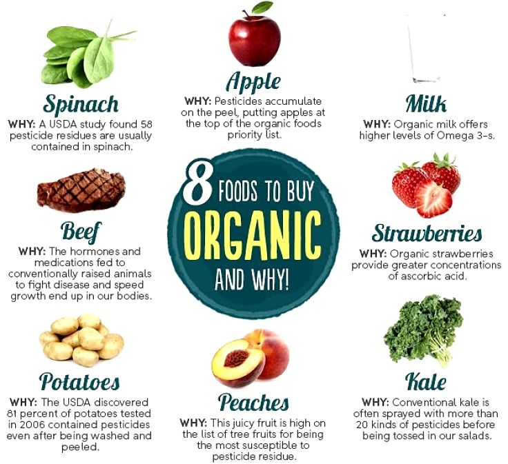 Good choices for buying organic food