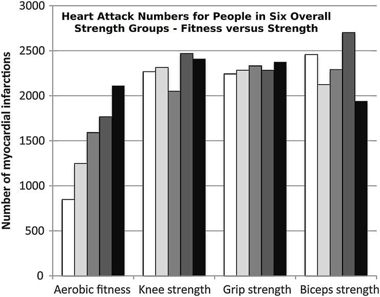 Typical pattern of weight loss experience by most dieters over several years