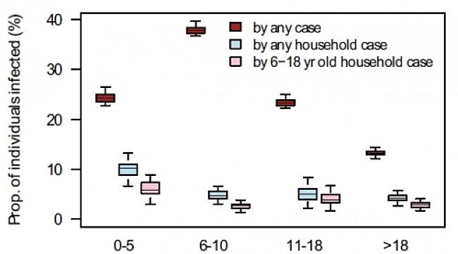 Sources of infection with a family - probabilities compared