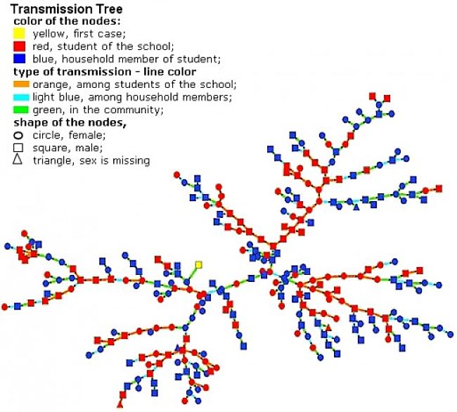 Transmission tree for infection